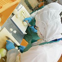 手作業でカット